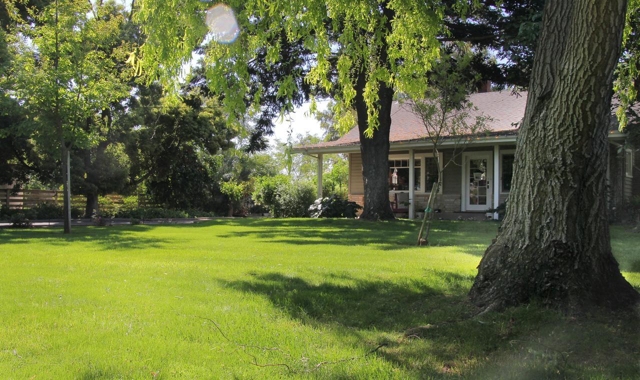 Cottage On Armstrong Lodi Exterior photo